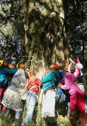 Kids hugging tree